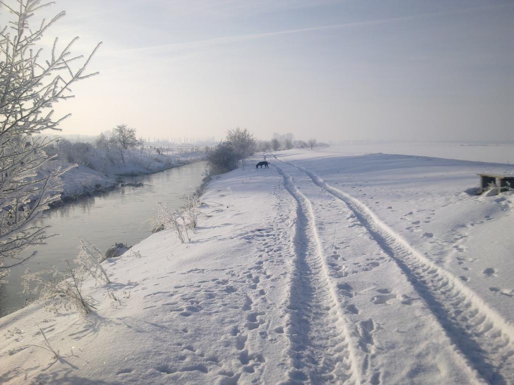 Fewo-Thueringer-Becken Vehra Extérieur photo